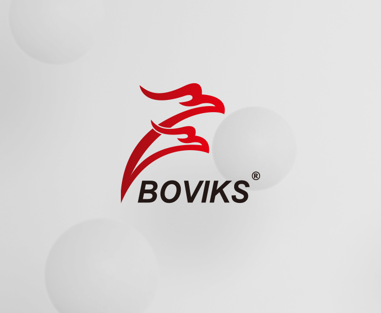 Boviks服装品牌形象规划